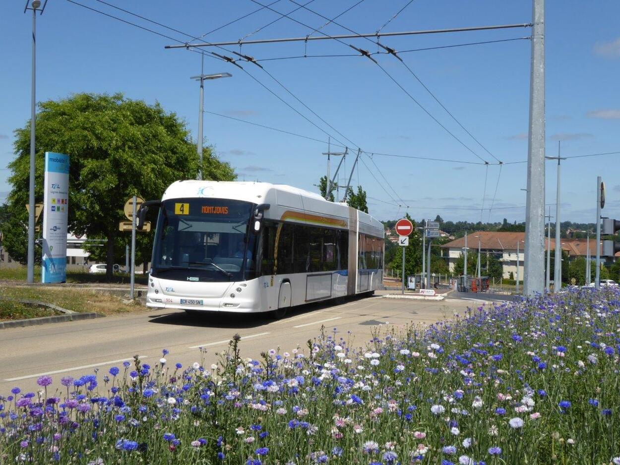 Limoges - trolleybus city