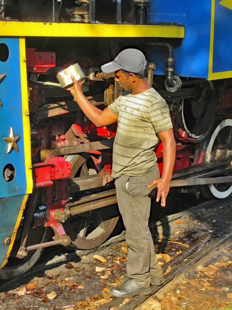 Zahnradbahn als UNESCO Welterbe, Nilgiri Mountain Railway 